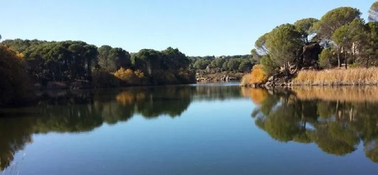 Villa Aljaral, Espectacular,Piscina,Chimenea, Climatizacion, Wifi Cordoba 0*,